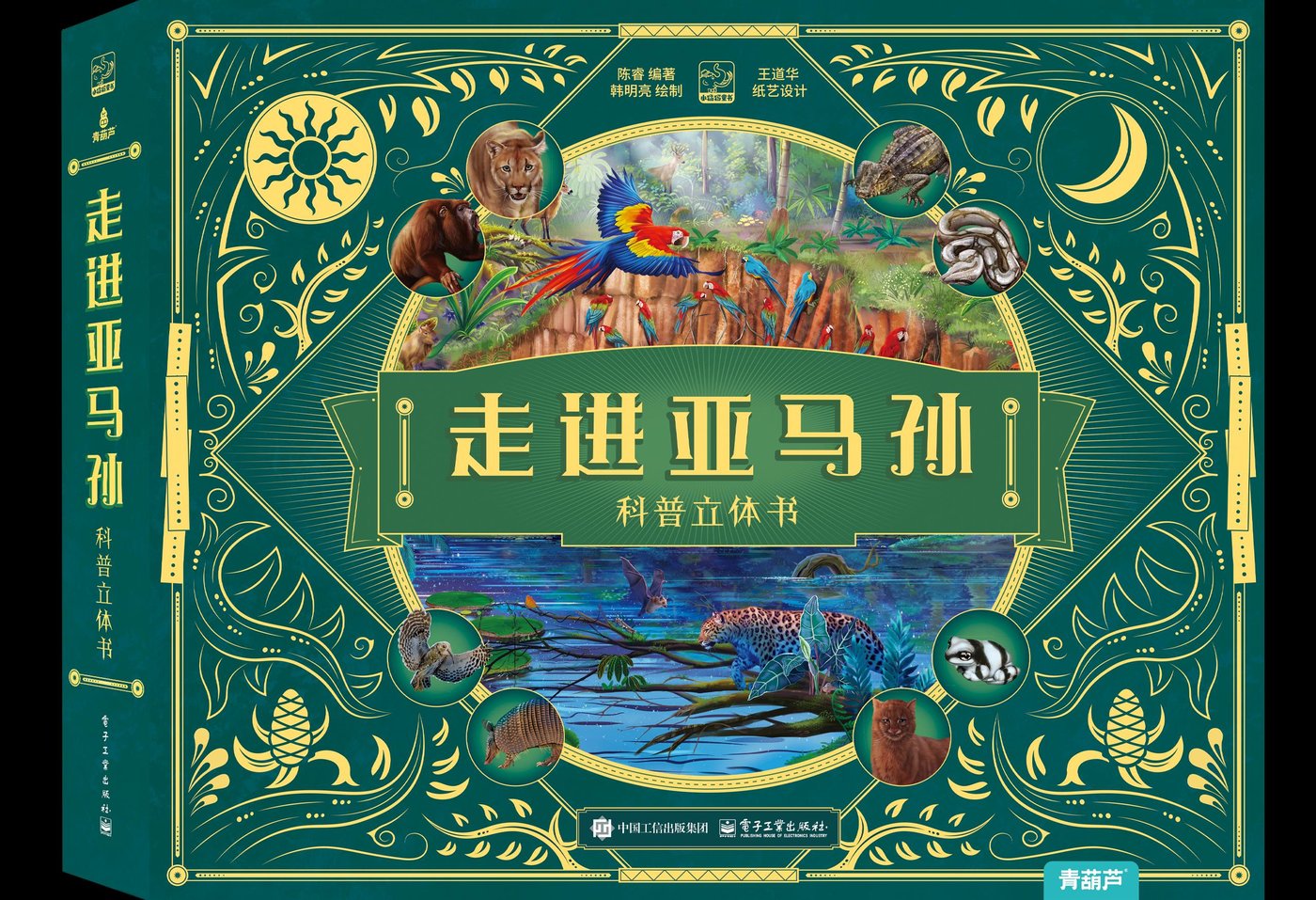 《走进亚马孙》科普立体书封面