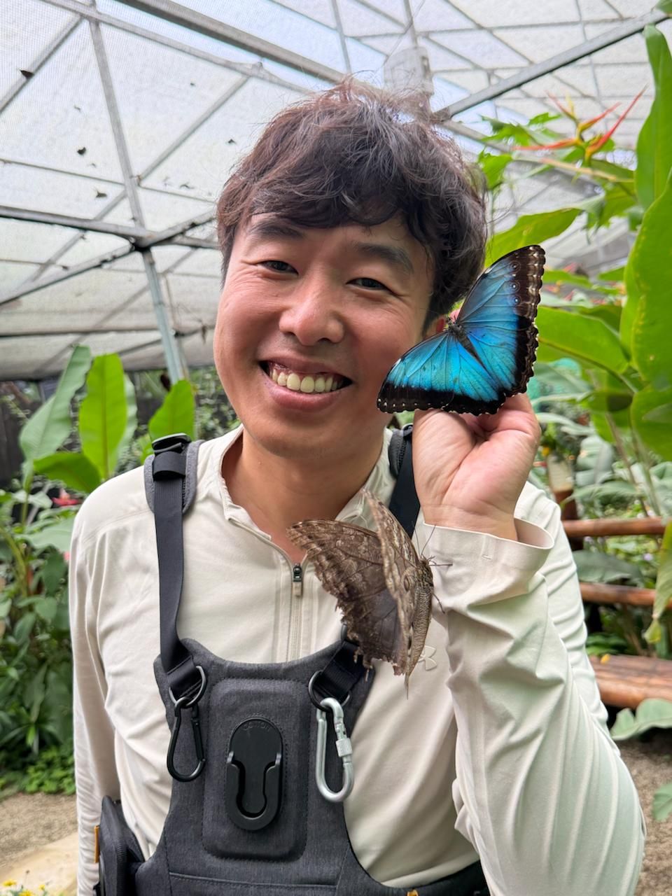 厄瓜多尔蝴蝶馆参观