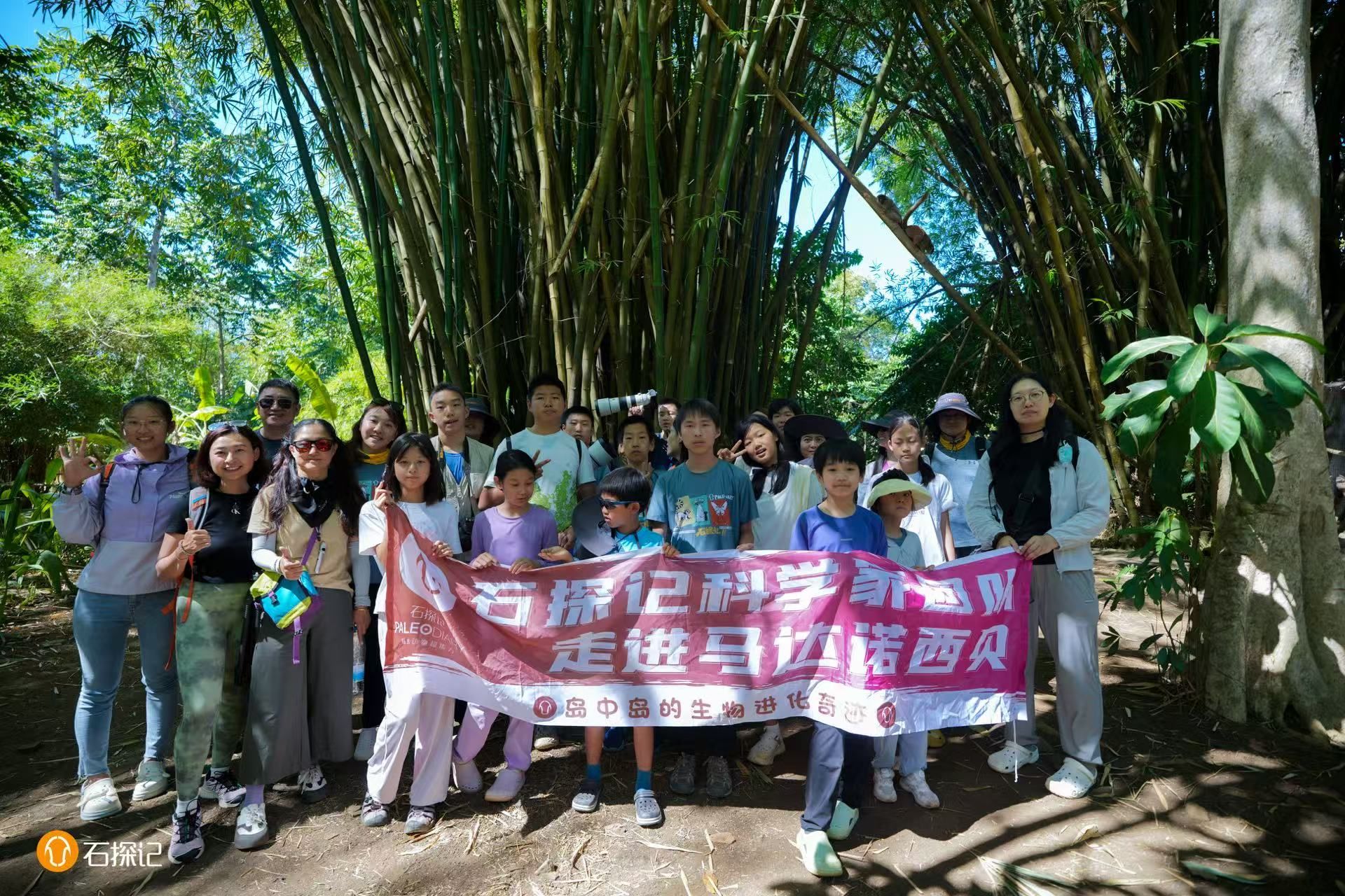 马达加斯加野生动物观察