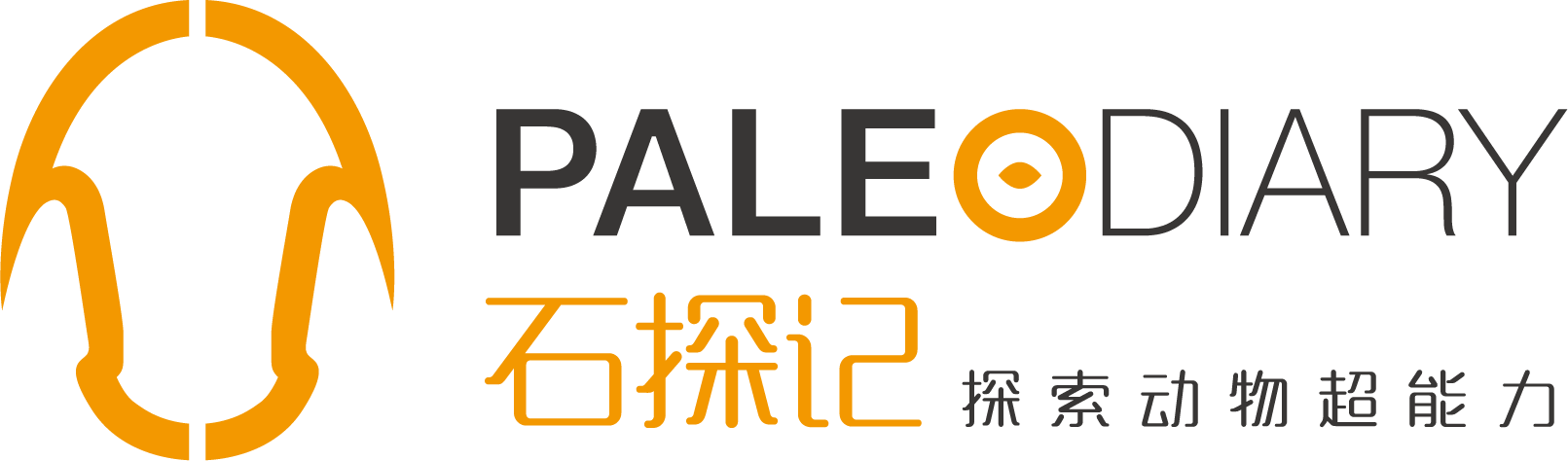 石探记 PALEODIARY logo