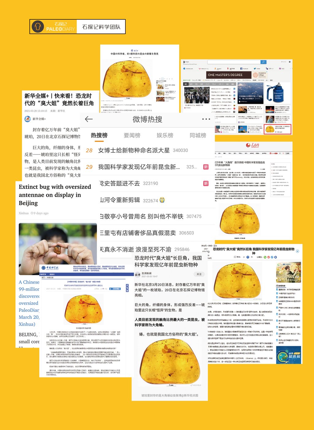 新华社等报道石探记博物馆大角蝽新物种发现